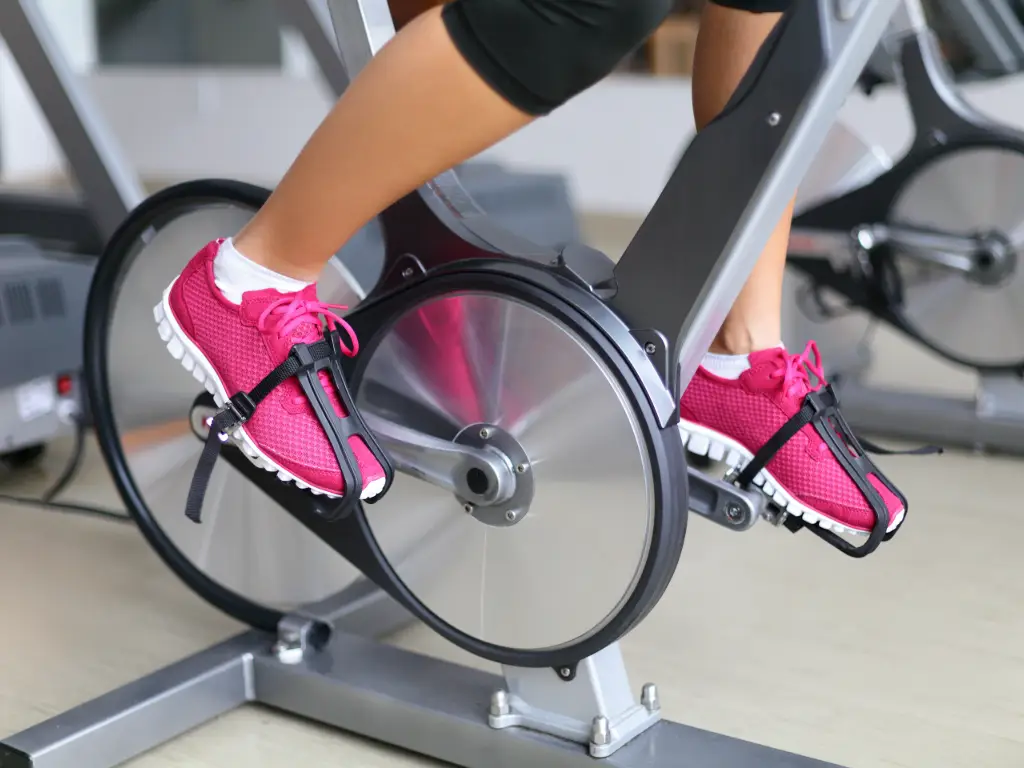 Cardio Equipment