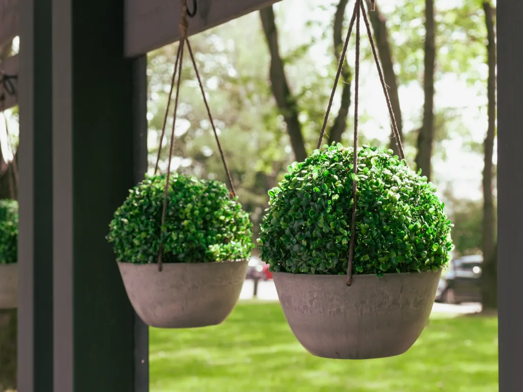 Outdoor & Garden
