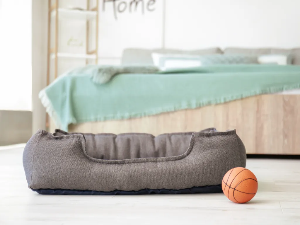 Pet Beds & Furniture