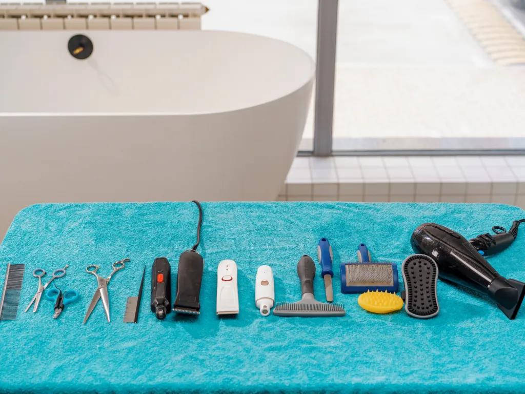 Pet Cleaning & Hygiene