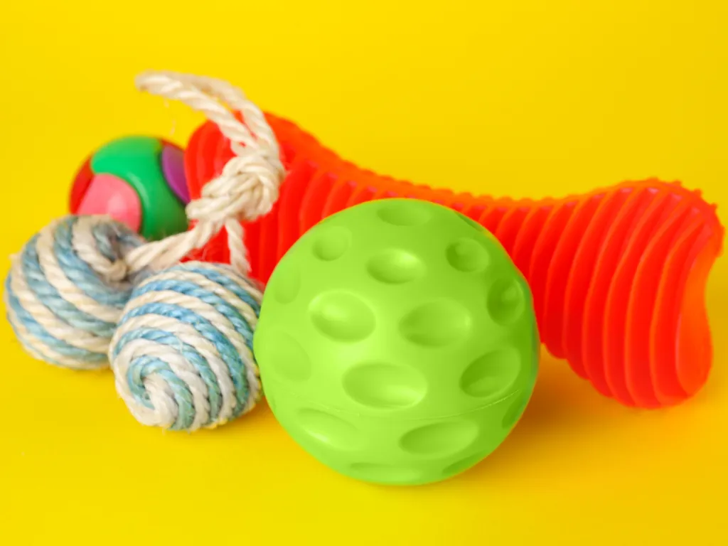 Pet Toys & Chews